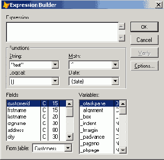 Диалоговое окно Expression Builder